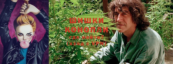apvp Новокубанск