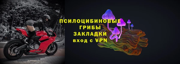 герыч Бикин