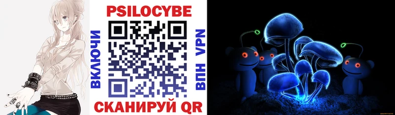 как найти закладки Мытищи Псилоцибиновые грибы Psilocybine cubensis