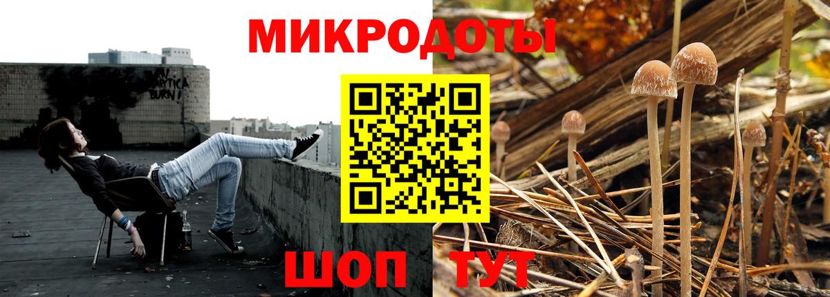 Галлюциногенные грибы Psilocybe Мытищи